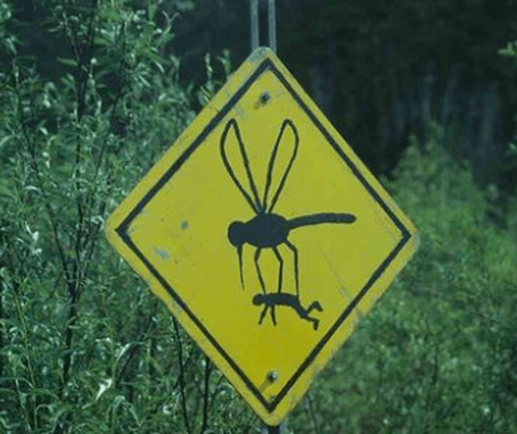 funny road signs from around the world